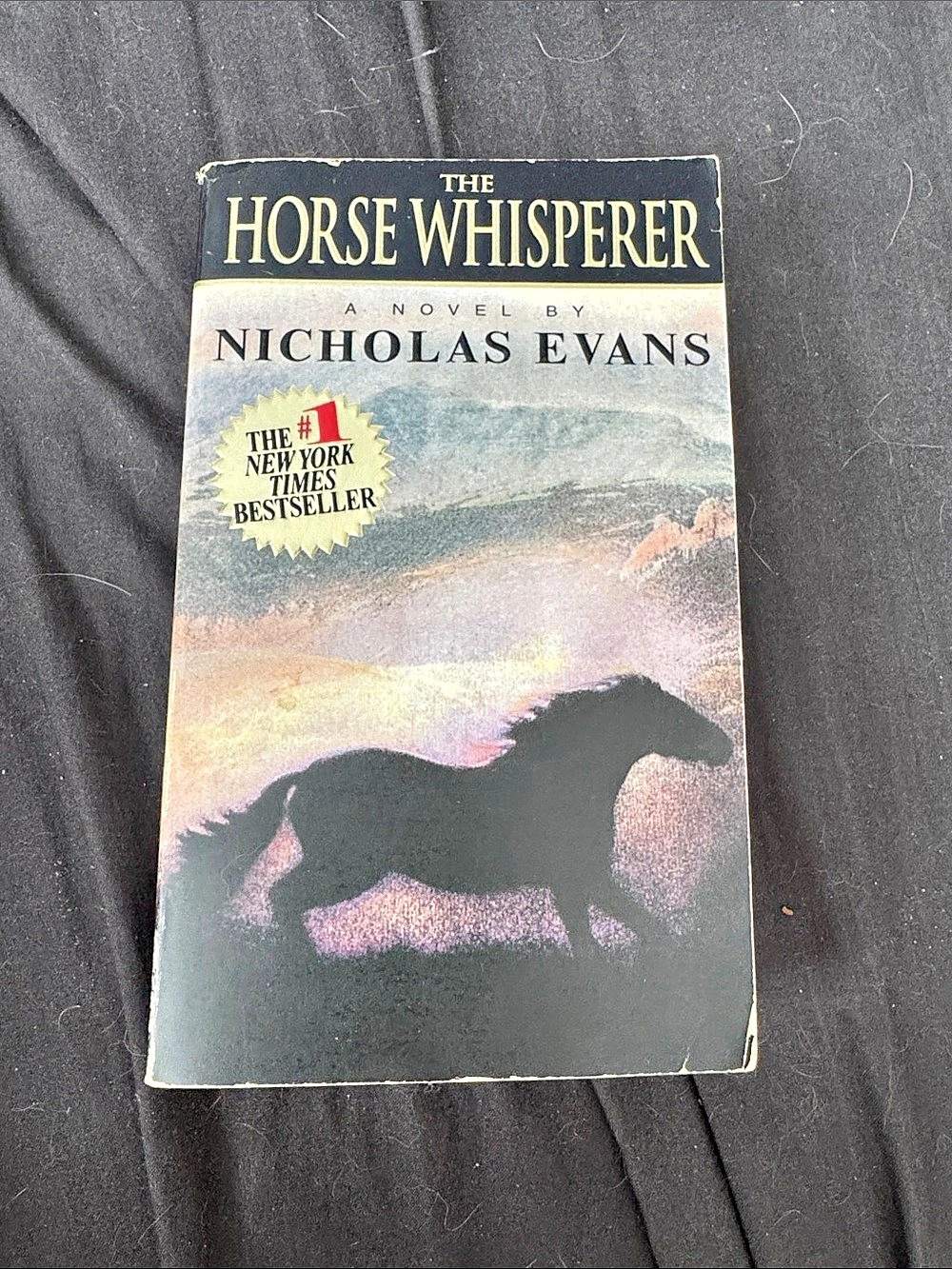 Dell The Horse Whisperer by Nicholas Evans Paperback Book